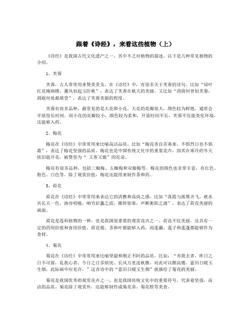 跟着《诗经》,来看这些植物(上)