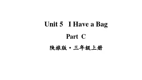 陕旅版(三起)英语三年级上册Unit 5 I Have a Bag Part C课件