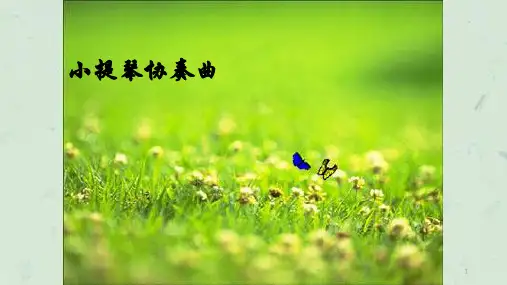 音乐梁山伯与祝英台课件