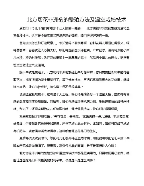 北方切花非洲菊的繁殖方法及温室栽培技术