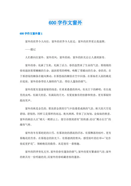 600字作文窗外