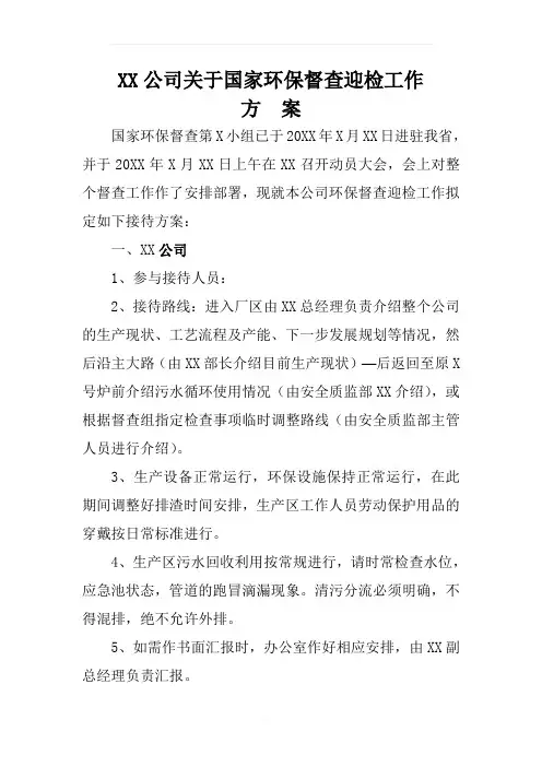 XX公司关于国家环保督查的迎检工作方案