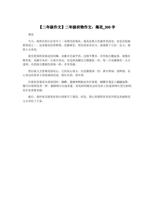 【二年级作文】二年级状物作文：菊花_300字