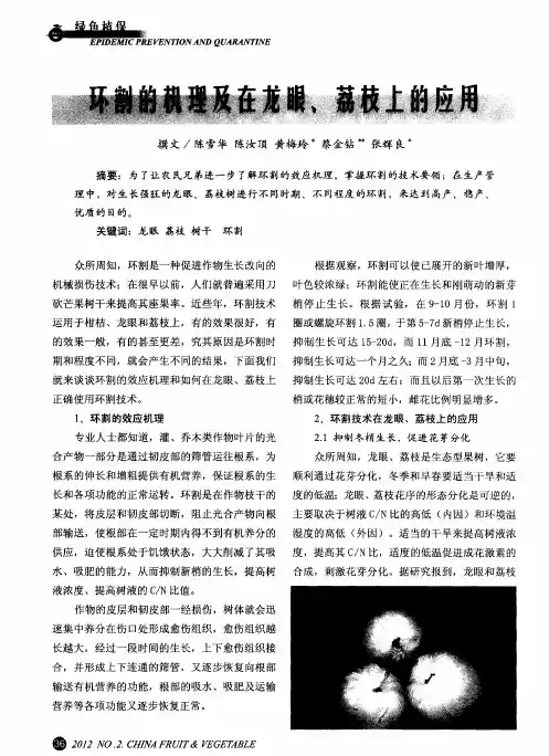 环割的机理及在龙眼、荔枝上的应用