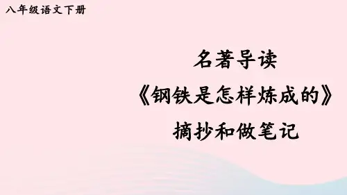 名著导读 《钢铁是怎样炼成的》 摘抄和做笔记【考点精讲版】
