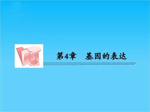 高一人教版生物必修2课件4-2基因对性状的控制   47张