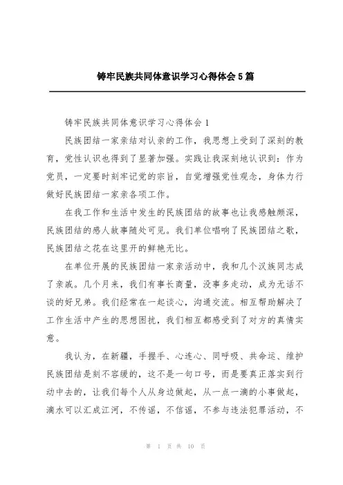 铸牢民族共同体意识学习心得体会5篇