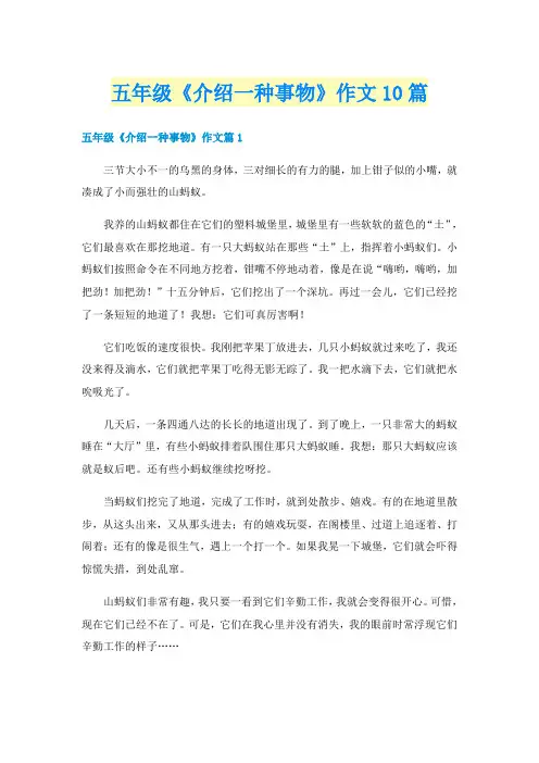 五年级《介绍一种事物》作文10篇