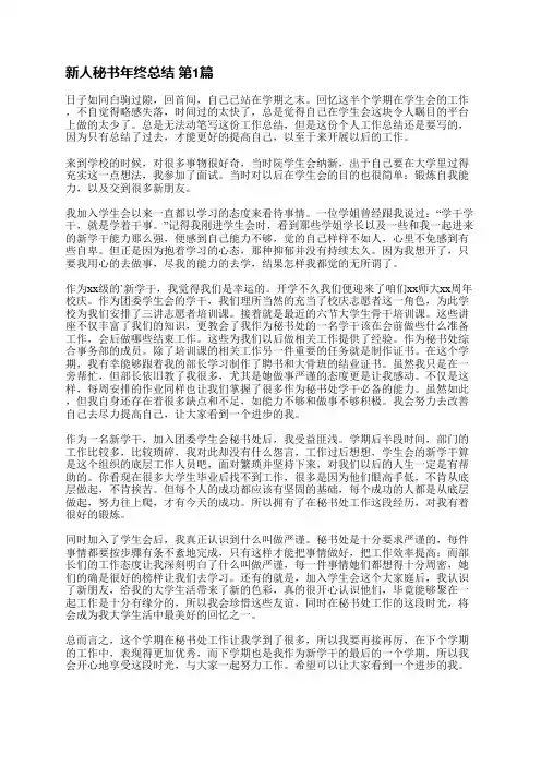 新人秘书年终总结(精选14篇)