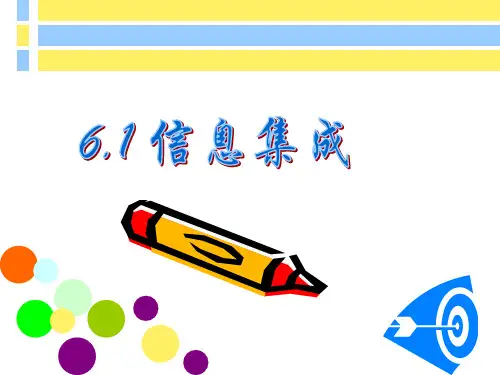 信息集成的一般过程