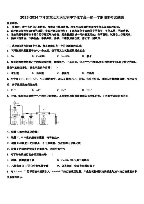 2023-2024学年黑龙江大庆实验中学化学高一第一学期期末考试试题含解析