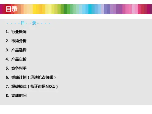 天猫旗舰店运营方案PPT 