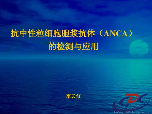 ANCA检测与应用