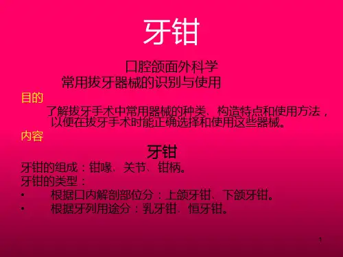 牙钳参考PPT