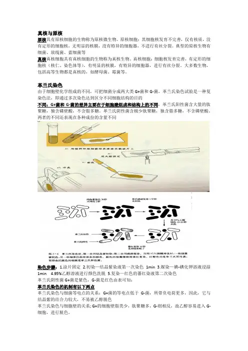 环境微生物实用、考试、学习知识点整理