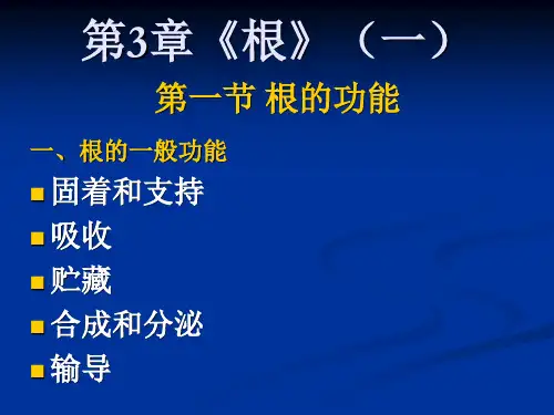 第3章《根》(一)