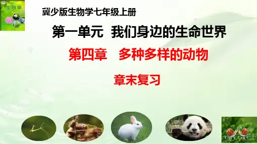 第四章 多种多样的动物(章末复习课件)-七年级生物上册同步精品课堂(冀少版)