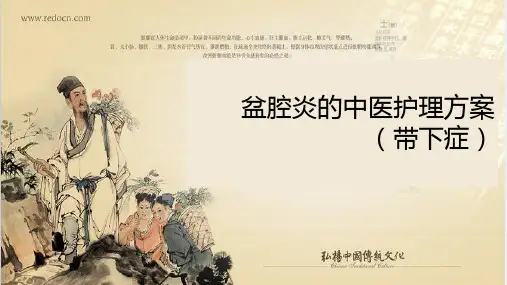 医院护理培训课件：《盆腔炎的中医护理方案(带下症)》