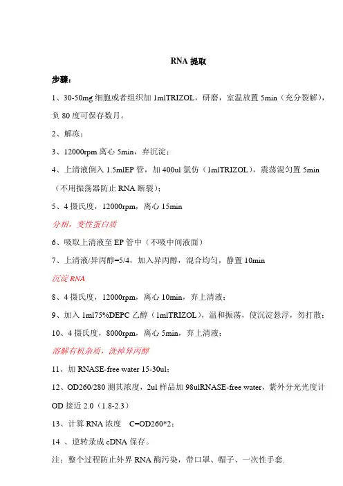 RNA提取步骤