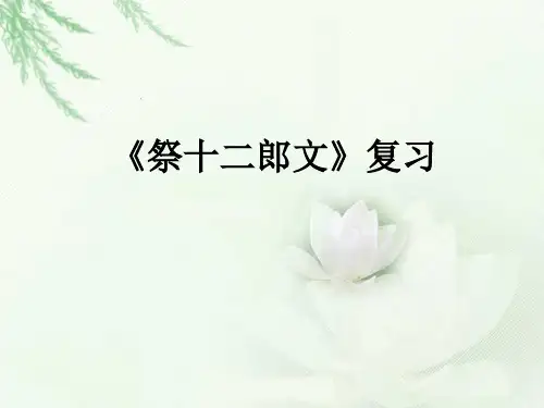 祭十二郎文复习课件