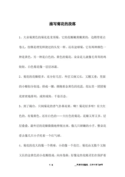 描写菊花的段落