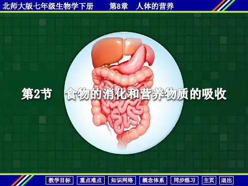 北师大版生物七下8.2《食物的消化和营养物质的吸收》讲课课件(共21张PPT)