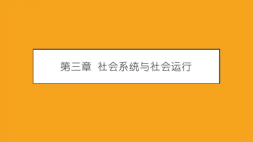 第三章 社会系统与社会运行