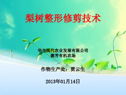 梨树整形修剪技术汇报 ppt课件