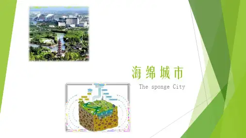 海绵城市设计