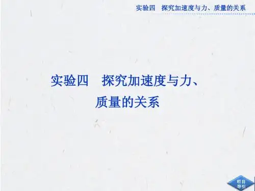 高考物理第一轮总复习课件：实验四