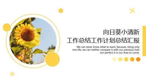 向日葵小清新工作总结工作计划总