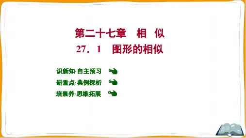 最新人教版九年级下册数学第二十七章相似 图形的相似