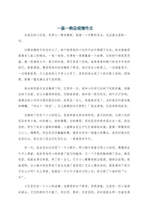 一景一物总观情作文