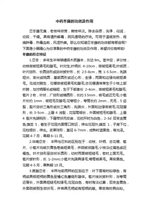 中药冬藤的功效及作用