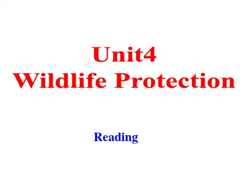 人教版高一英语必修二Unit4--Reading市级公开课课件(共26张PPT)