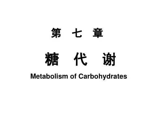 生物化学之糖代谢(唐炳华)