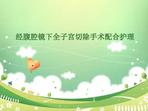 经腹腔镜下全子宫切除手术配合护理ppt课件