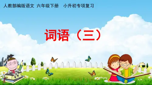 人教部编版六年级语文下册《小升初专项复习 词语(三)》教学课件PPT小学优秀课件