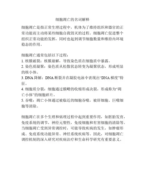 细胞凋亡的名词解释