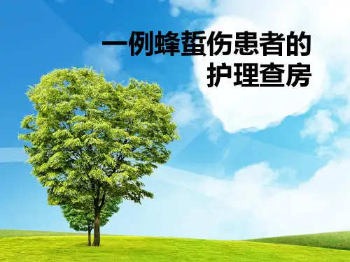 蜂蜇伤护理查房