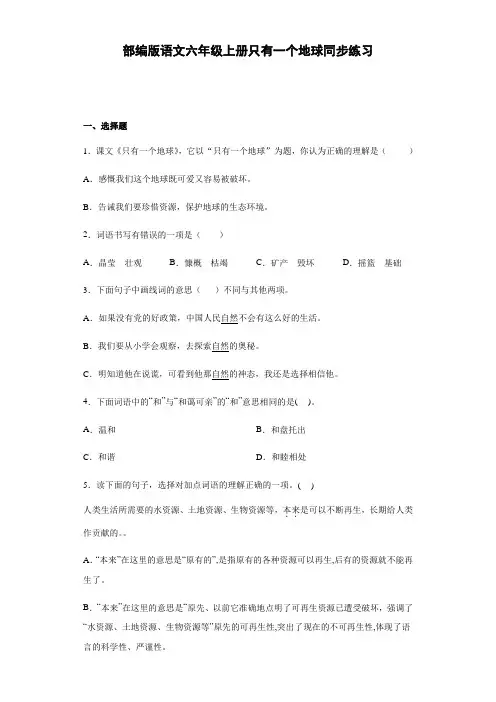 19 只有一个地球  同步练习(含答案)
