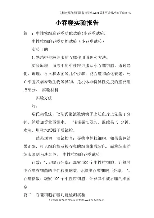 小吞噬实验报告