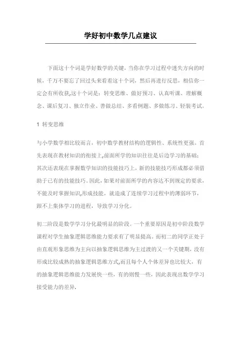 学好初中数学几点建议