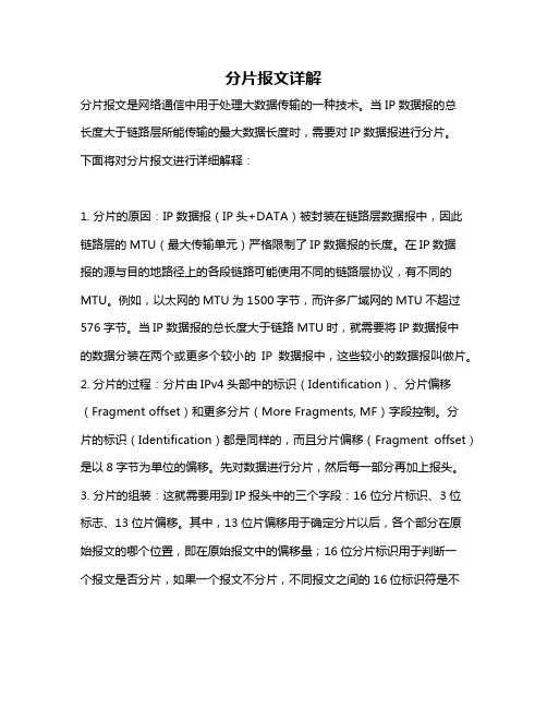 分片报文详解