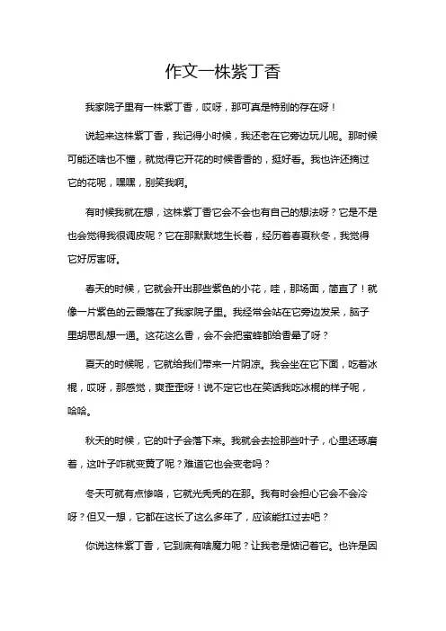 作文一株紫丁香