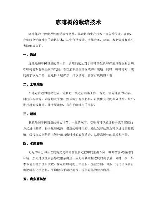 咖啡树的栽培技术