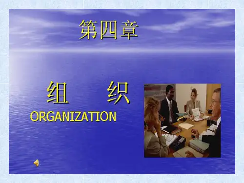 第四章 组织