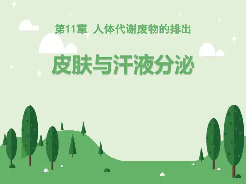 《皮肤与汗液分泌》PPT教学课件