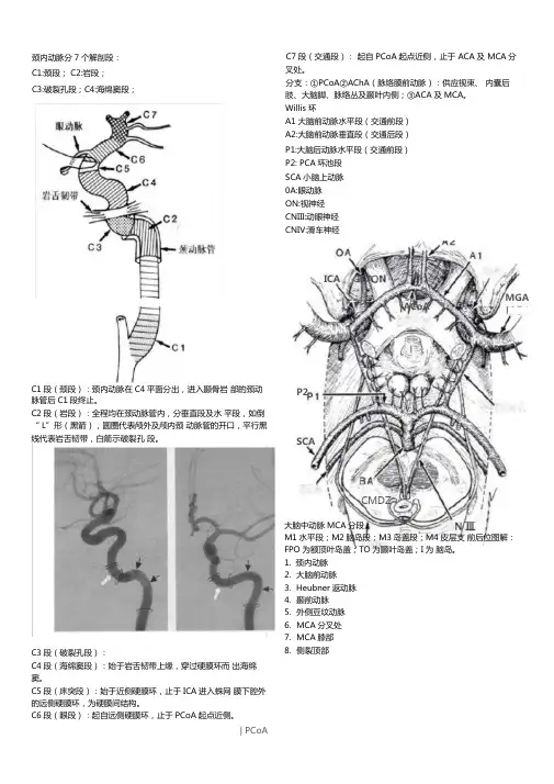 脑血管解剖及分段详解