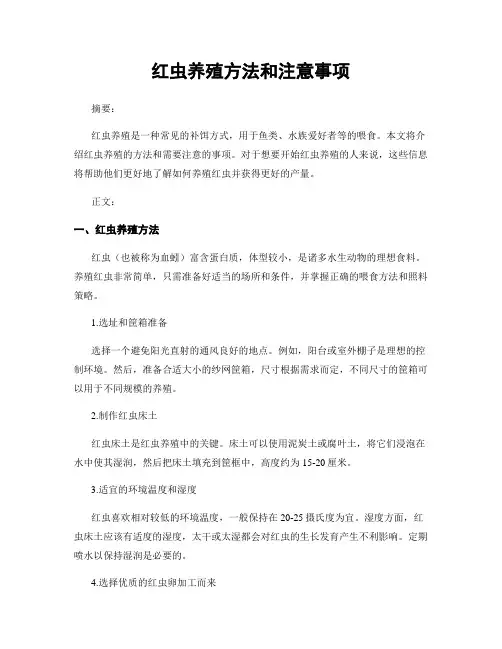 红虫养殖方法和注意事项